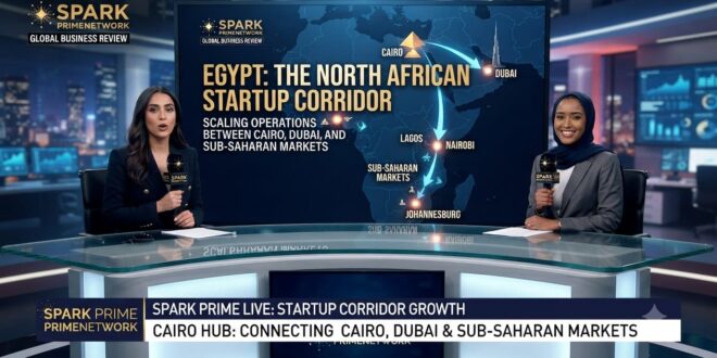 Egypt Startup Corridor