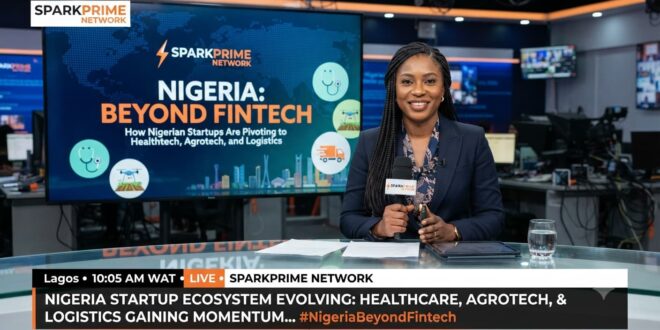 Nigerian tech startups diversification